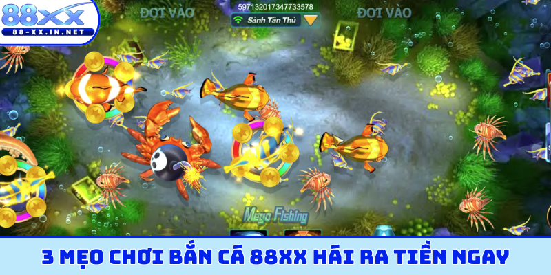3 mẹo chơi bắn cá 88XX hái ra tiền ngay
