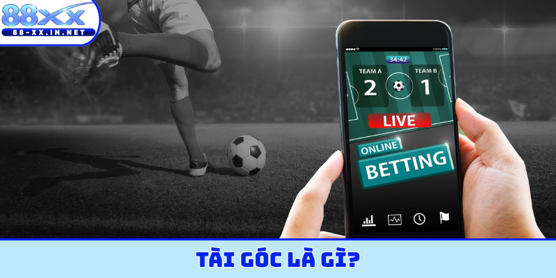 tài góc là gì