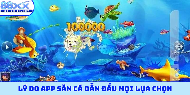 Lý do app săn cá dẫn đầu mọi lựa chọn