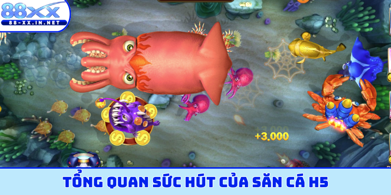 Tổng quan sức hút của săn cá H5