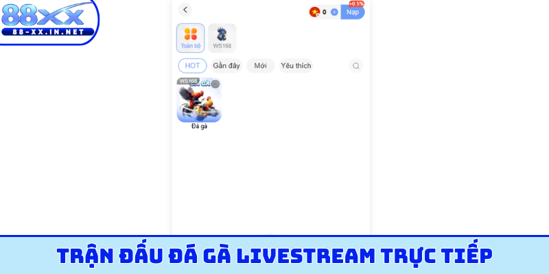 Trận đấu đá gà livestream trực tiếp
